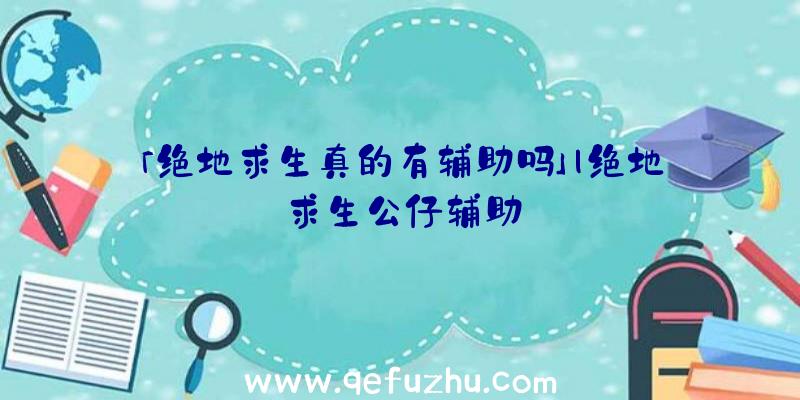 「绝地求生真的有辅助吗」|绝地求生公仔辅助